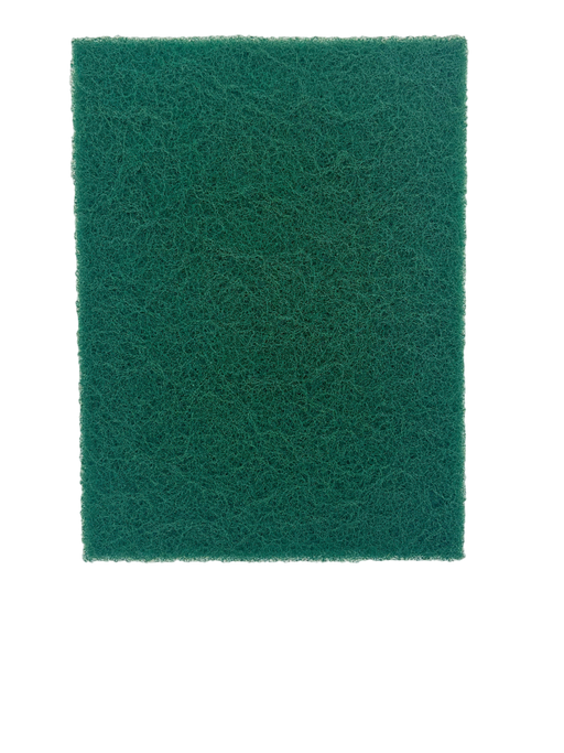 A green rectangular synthetic scouring pad.