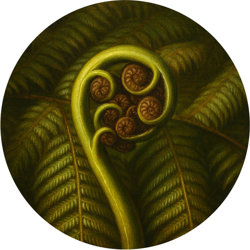 Close-up of a fern frond with intricate details on a white background