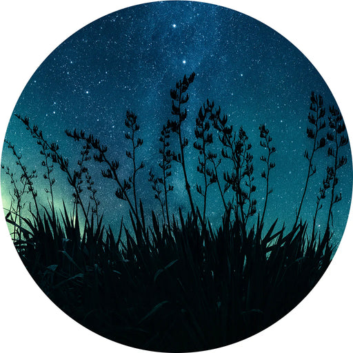 Silhouettes of Harakeke against a starry night sky