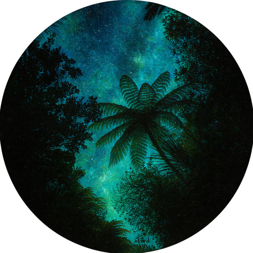 Circular image of a fern with a Matariki starry night sky and trees in the background