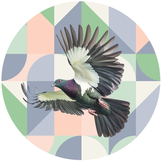 Pigeon in flight on a geometric patterned background
