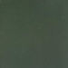 Haast Green colour swatch of Novex Timberstyle Deck and Timber Paint