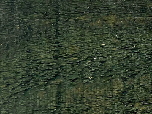 Protectoil is a linseed oil based exterior timber stain Green colour.